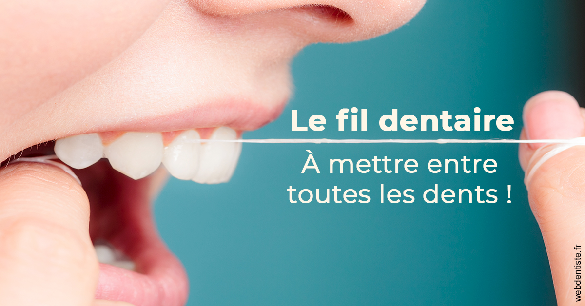 https://dr-rouhier-francois.chirurgiens-dentistes.fr/Le fil dentaire 2