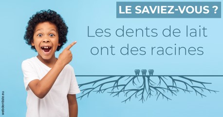 https://dr-rouhier-francois.chirurgiens-dentistes.fr/Les dents de lait 2