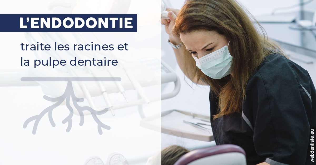https://dr-rouhier-francois.chirurgiens-dentistes.fr/L'endodontie 1