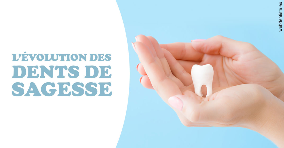 https://dr-rouhier-francois.chirurgiens-dentistes.fr/Evolution dents de sagesse 1