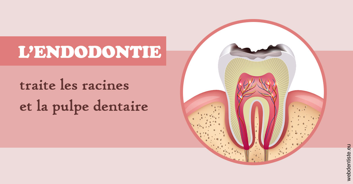 https://dr-rouhier-francois.chirurgiens-dentistes.fr/L'endodontie 2