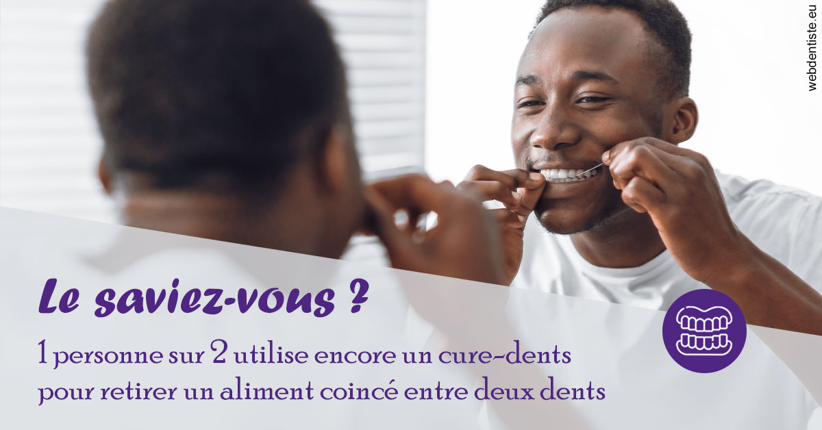 https://dr-rouhier-francois.chirurgiens-dentistes.fr/Cure-dents 2