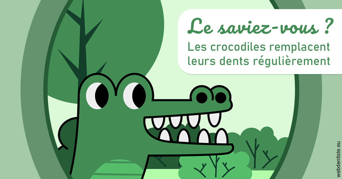 https://dr-rouhier-francois.chirurgiens-dentistes.fr/Crocodiles 2