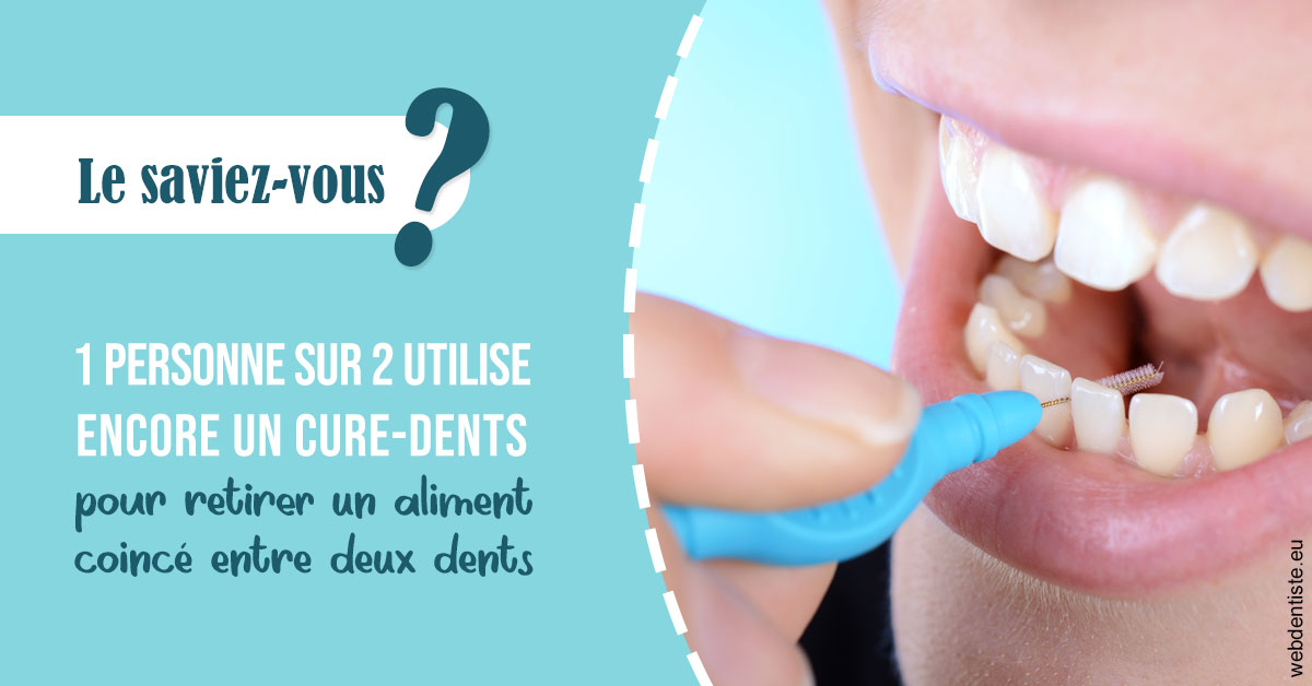 https://dr-rouhier-francois.chirurgiens-dentistes.fr/Cure-dents 1