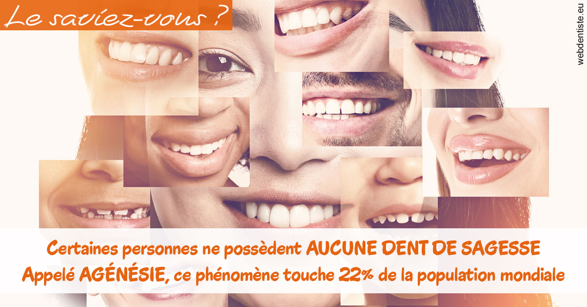 https://dr-rouhier-francois.chirurgiens-dentistes.fr/Agénésie 2