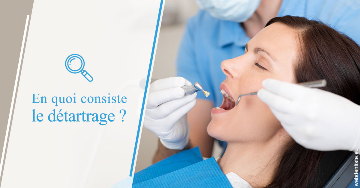 https://dr-rouhier-francois.chirurgiens-dentistes.fr/En quoi consiste le détartrage